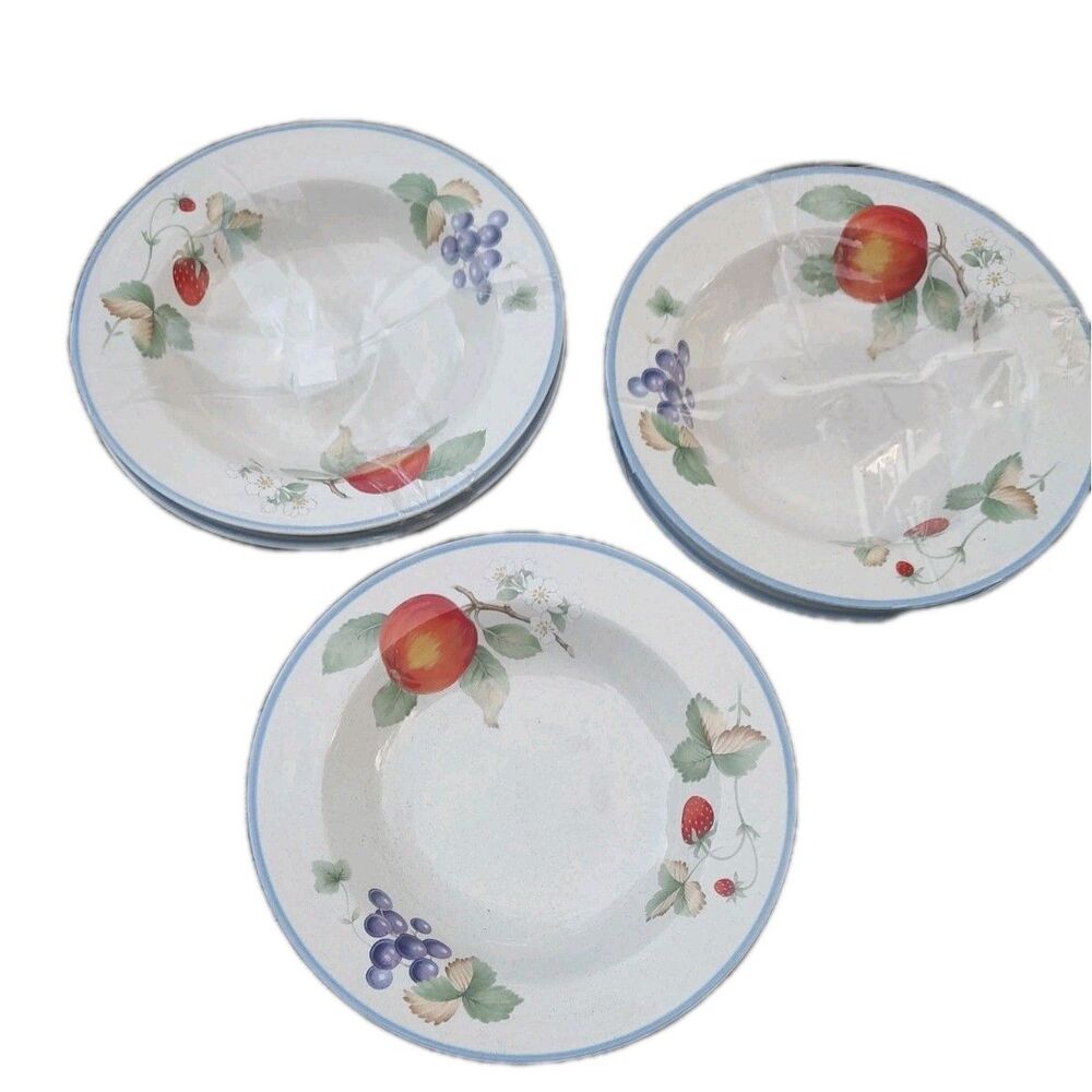 Savoir Vivre Luscious Fruit Rim Soup Bowls Set 5 Japan JJ017 8 1/8”D